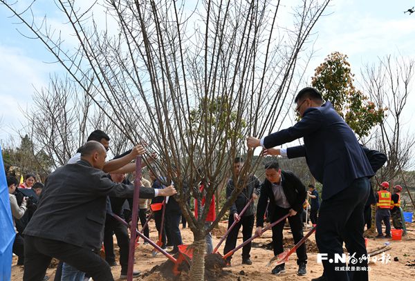 城投園林公司羅源綠化苗木基地開業